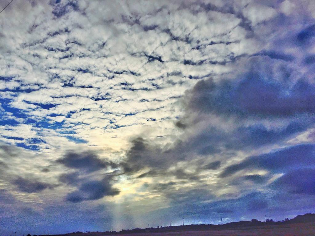 Winter Green King Room with City View